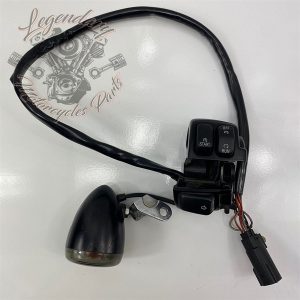 CÙM CÔNG TẮC ĐIỀU KHIỂN BÊN PHẢI HIỆU HD LẮP HD 96-13 & VRSC 02-17 71684-06A (HL)