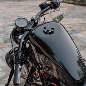 GHI ĐÔNG NGANG ĐEN HARLEY DAVIDSON LẮP XE SPORTSTER LK CUSTOM