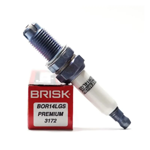 BUGI HÃNG BRISK LẮP XE HD (CÁI)
