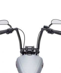 GHI ĐÔNG MÀU ĐEN DÁNG FUSE HÃNG HARLEY DAVIDSON LẮP HD SPORTSTER SOFTAIL (HÀNG LƯỚT)